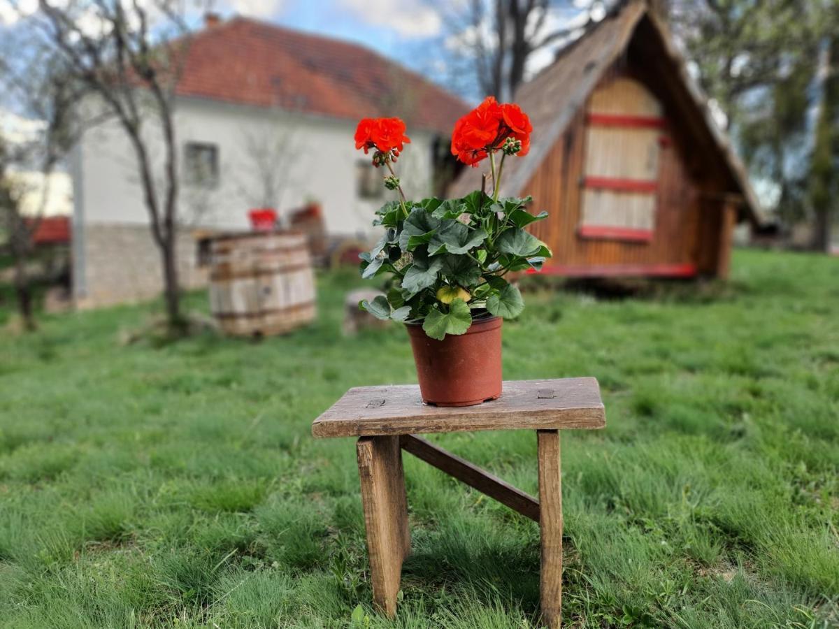 Etno Domacinstvo Saponjic Nova Varoš Exterior foto
