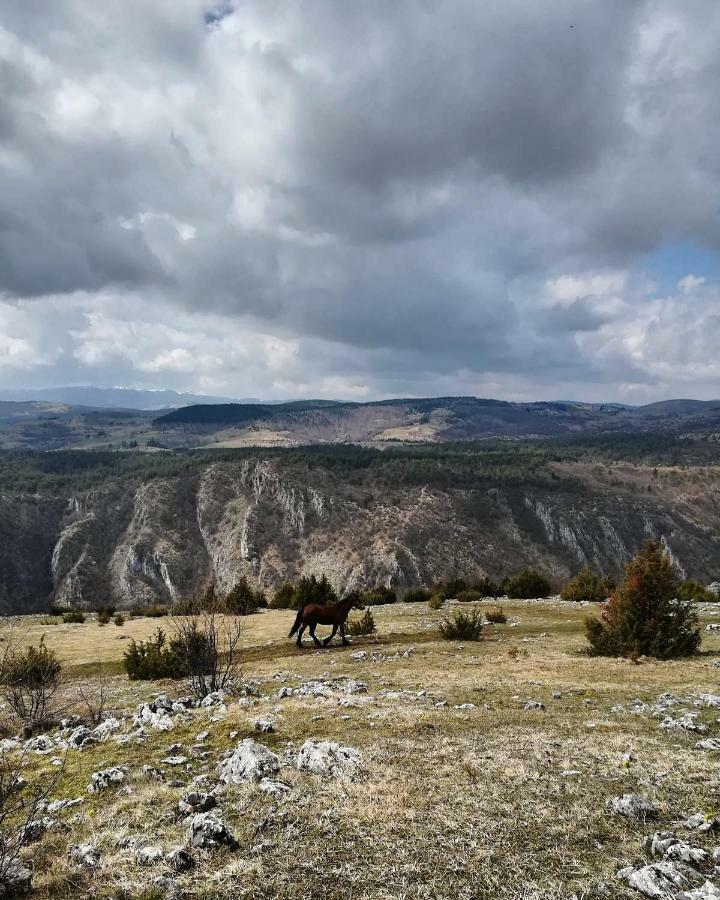 Etno Domacinstvo Saponjic Nova Varoš Exterior foto